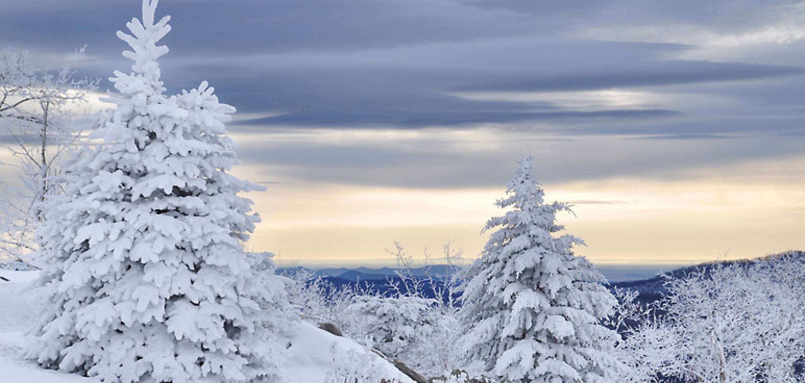 Sugar Mountain Vacation Rentals Resort Real Estate Rentals At